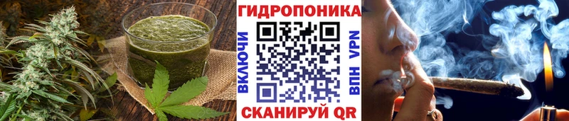 Canna-Cookies марихуана  Купить где  Пыталово 