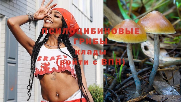 мяу мяу мука Богданович