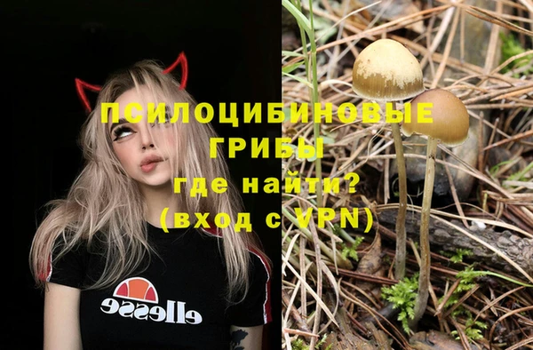 мяу мяу мука Богданович