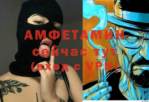 mdpv Бородино