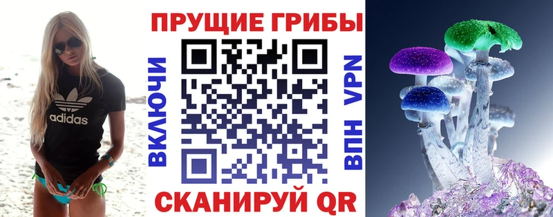 Галлюциногенные грибы MAGIC MUSHROOMS Купить Пыталово