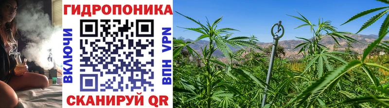 Купить где Пыталово Марихуана индика